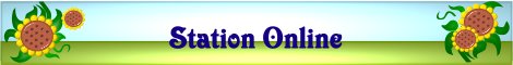 station_online